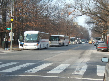 buses lined up