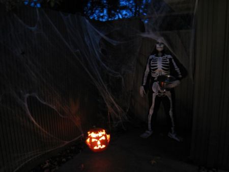 Spooky Skeleton Halloween 2008
