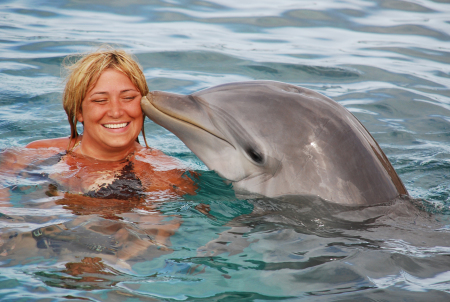 Dolphin kissing me