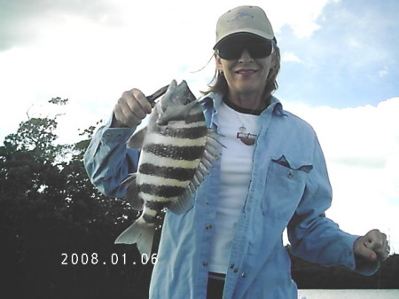 Sheepshead