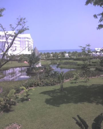 View from Room in Jamaica