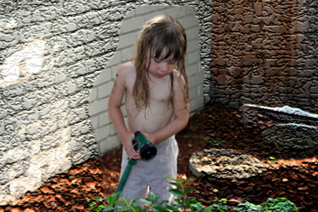 Watering the strawberries