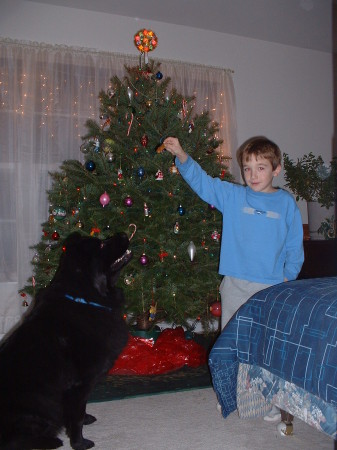 Joshua & Bear Christmas 2005