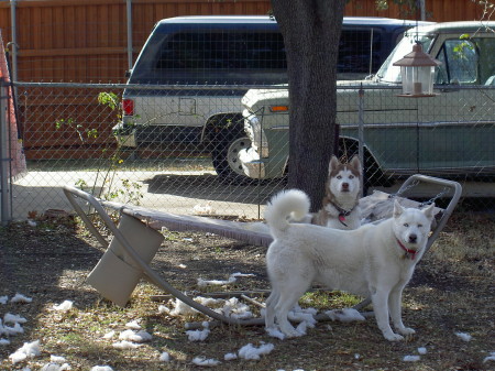 Jack and Sadie