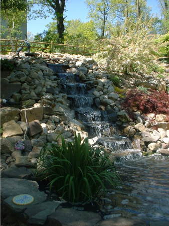 Our good friends pond we built in Summer of 05, "the LEMBECK RAPIDS"