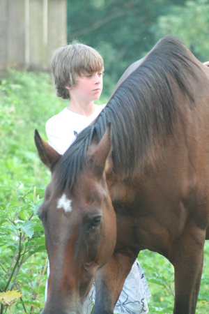 the boy and his pal