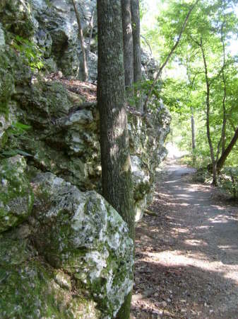 Somewhere in Arkansas on the trail