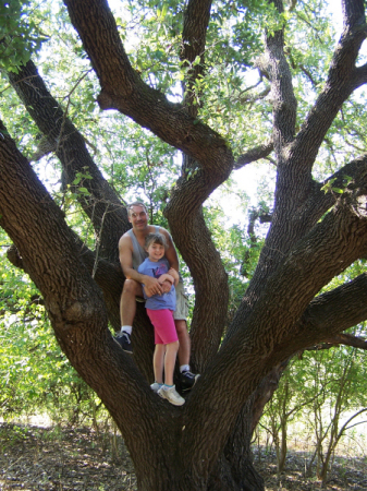 Climbing a Texas Live Oak
