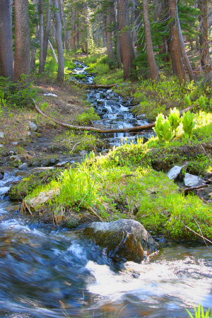 Mammoth Lakes