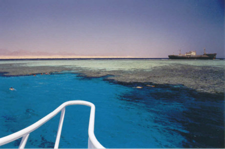 Red Sea 1996