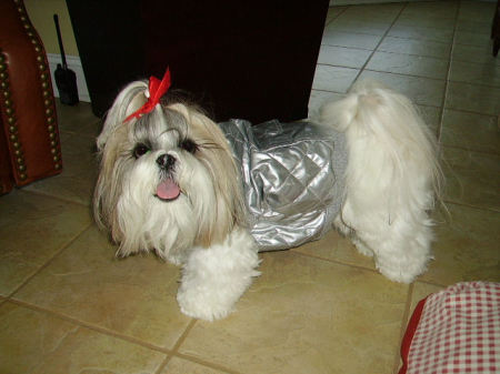 Sophie in her silver jacket