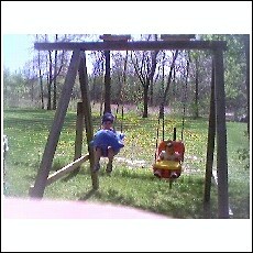 swingin