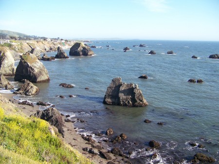 Bodega Bay..."The Birds" filmed here...