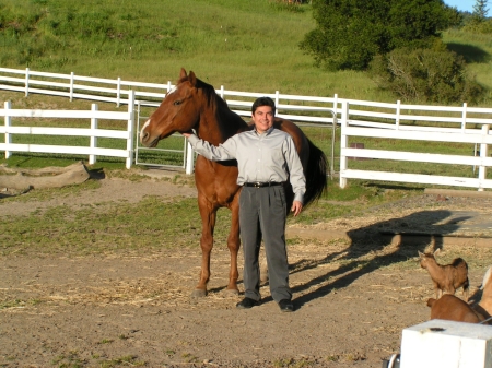 My Horse Rocky