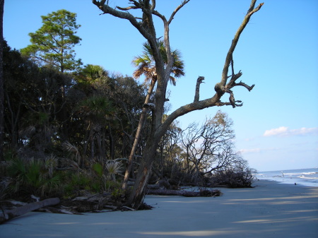 Hunting Island...my favorite beach