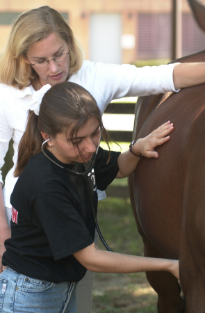 Amy Teaching at the University of Maryland