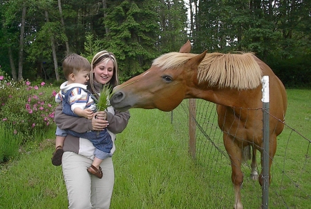 My daughter and grandson feeding horses.