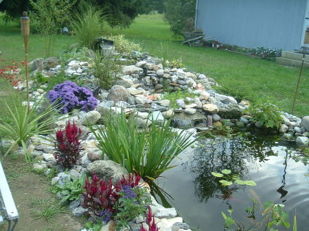 Our Koi Pond