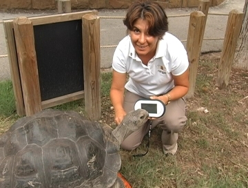 GPS Ranger at Dallas Zoo!