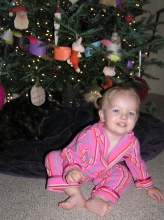 Wren Christmas 2006