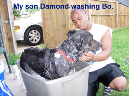 Damond washing Bo
