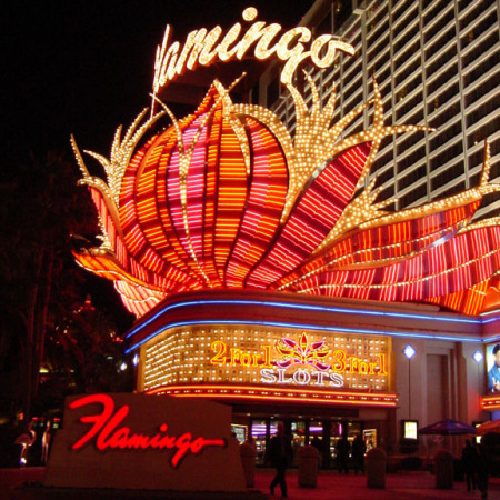 The Flamingo at Night