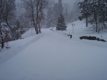 A Wintry Driveway!