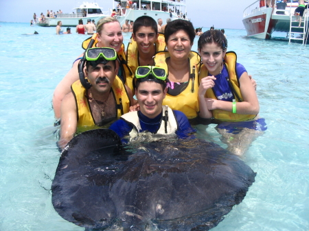 Swimming with the Stingrays in the Cayman Islands