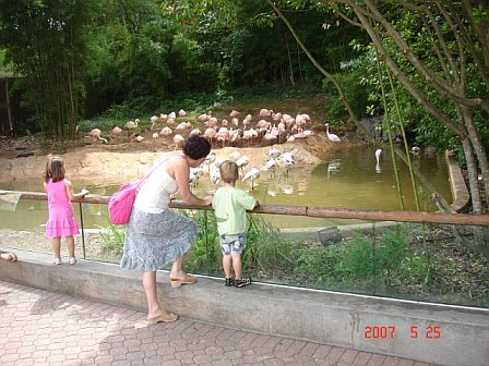 Mommy & Quin at the flamingos