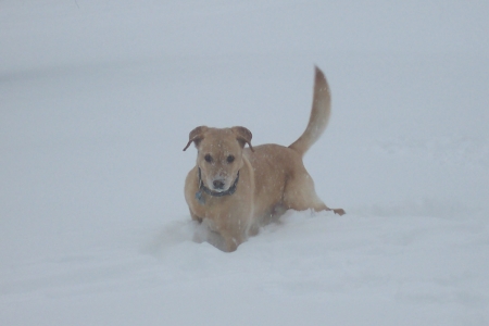 Jeter in the February snow