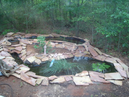 Double Koi water garden with 3 waterfalls