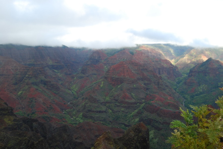Waimea Canyon in Kauai Dec 2008