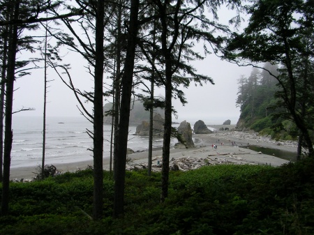 Pacific Ocean Ruby Beach