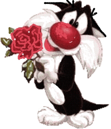 felix la pue with a rose for you