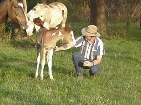 Hubby & Paint Foal