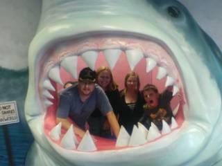 In the Sharks Mouth