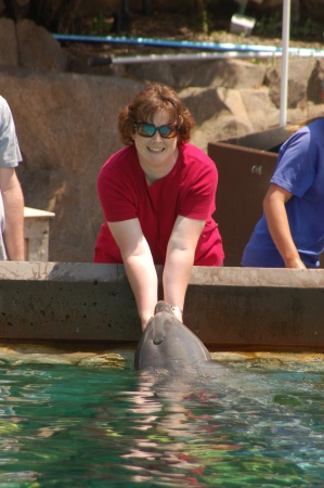 Dolphin Experience - Sea World - San Diego