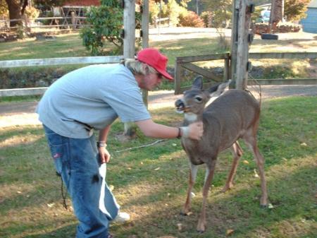 greg feeding my pet deer