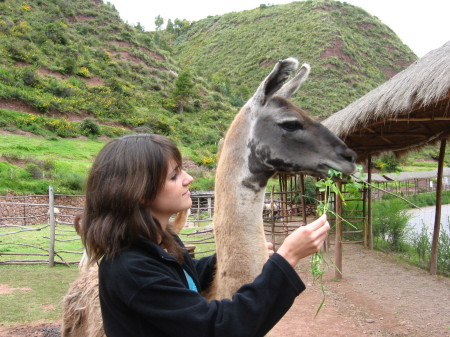 Kristin and a llama near Cusco, Peru