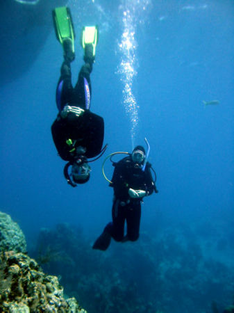 Diving off of Cayman Brac - November 2001