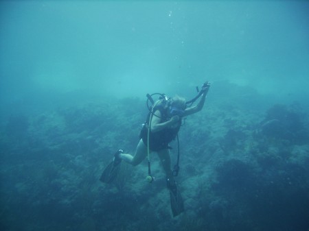 Scuba diving BVI's