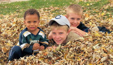 fall picture boys