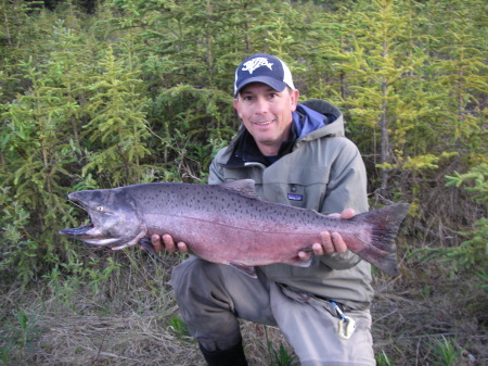Salmon on the fly
