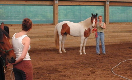 me and Cocoa's Dixie Chick, my Spotted Saddle Horse