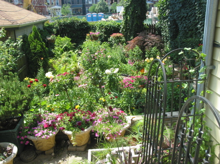 THE GARDEN 2007