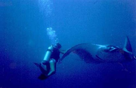 Giant Manta Ray with my step daughter Melissa.