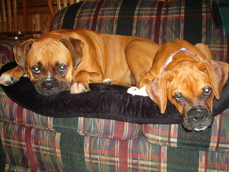 Ralph and Alice - The Boxers