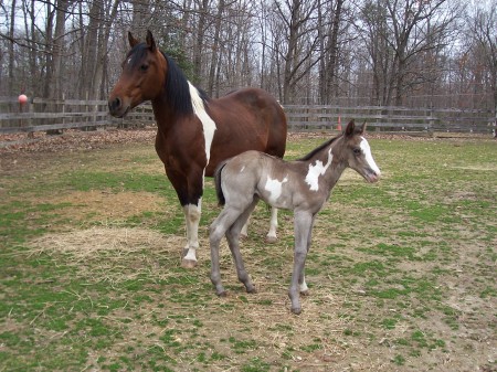 Skipper and Baby