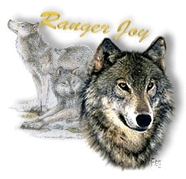 RangerJoy