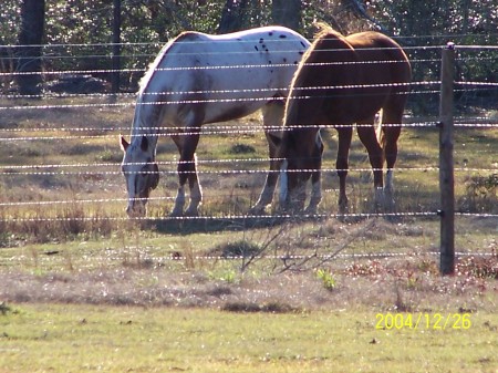 Casey and Abby